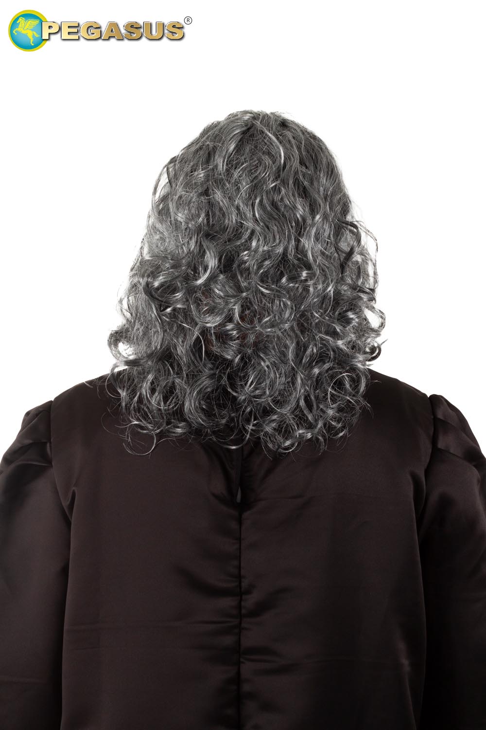 PARRUCCA + BARBA LEONARDO DA VINCI